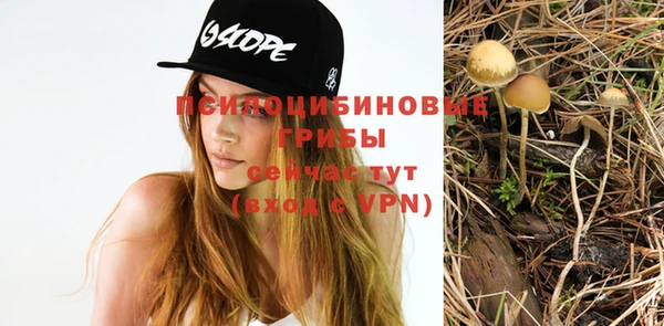 Альфа ПВП Верхнеуральск
