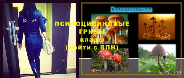 mix Верея